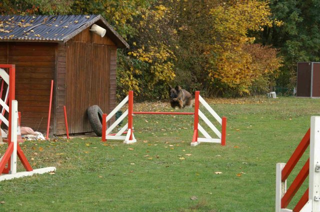 agility 2011-10-30